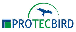protecbird.com