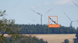 Panoramablick auf Landschaft mit Bäumen im Vordergrund, dahinter Wald, Ackerflächen und mehrere Windkraftanlagen; im rechten Bildbereich schwebt ein Rotmilan mit gespreizten Flügeln in einem orangefarbenen Erkennungsrahmen, beschriftet ‚Red Kite 0.92‘. 