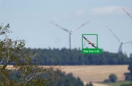 Panoramablick auf Landschaft mit Bäumen im Vordergrund, dahinter Wald, Ackerflächen und mehrere Windkraftanlagen; im rechten Bildbereich schwebt ein Rotmilan mit gespreizten Flügeln in einem grünen Erkennungsrahmen, beschriftet ‚Red Kite 0.92‘ 
