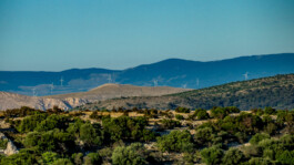 Landschaft mit grünen Hügeln und Sträuchern im Vordergrund, dahinter eine Hochebene mit mehreren Windrädern und blauen Bergen im Hintergrund unter klarem Himmel.