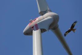 Windkraftanlage aus der Froschperspektive vor blauem Himmel, rechts im Bild ein fliegender Greifvogel (Rotmilan). 