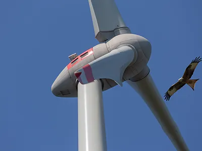 Windkraftanlage aus der Froschperspektive vor blauem Himmel, rechts im Bild ein fliegender Greifvogel (Rotmilan).